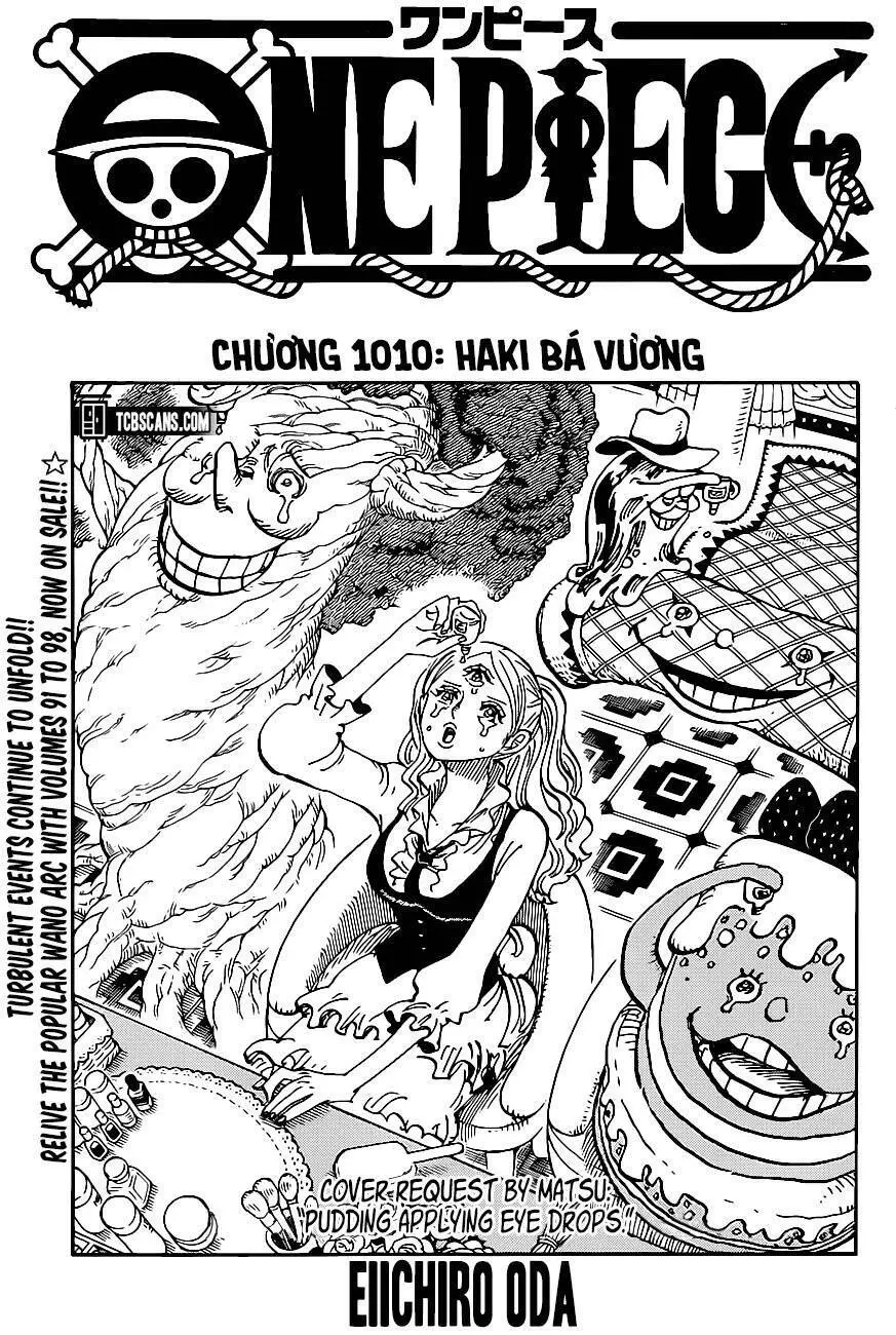 One Piece Nettruyen ZZZ Chương 1010 Page 1