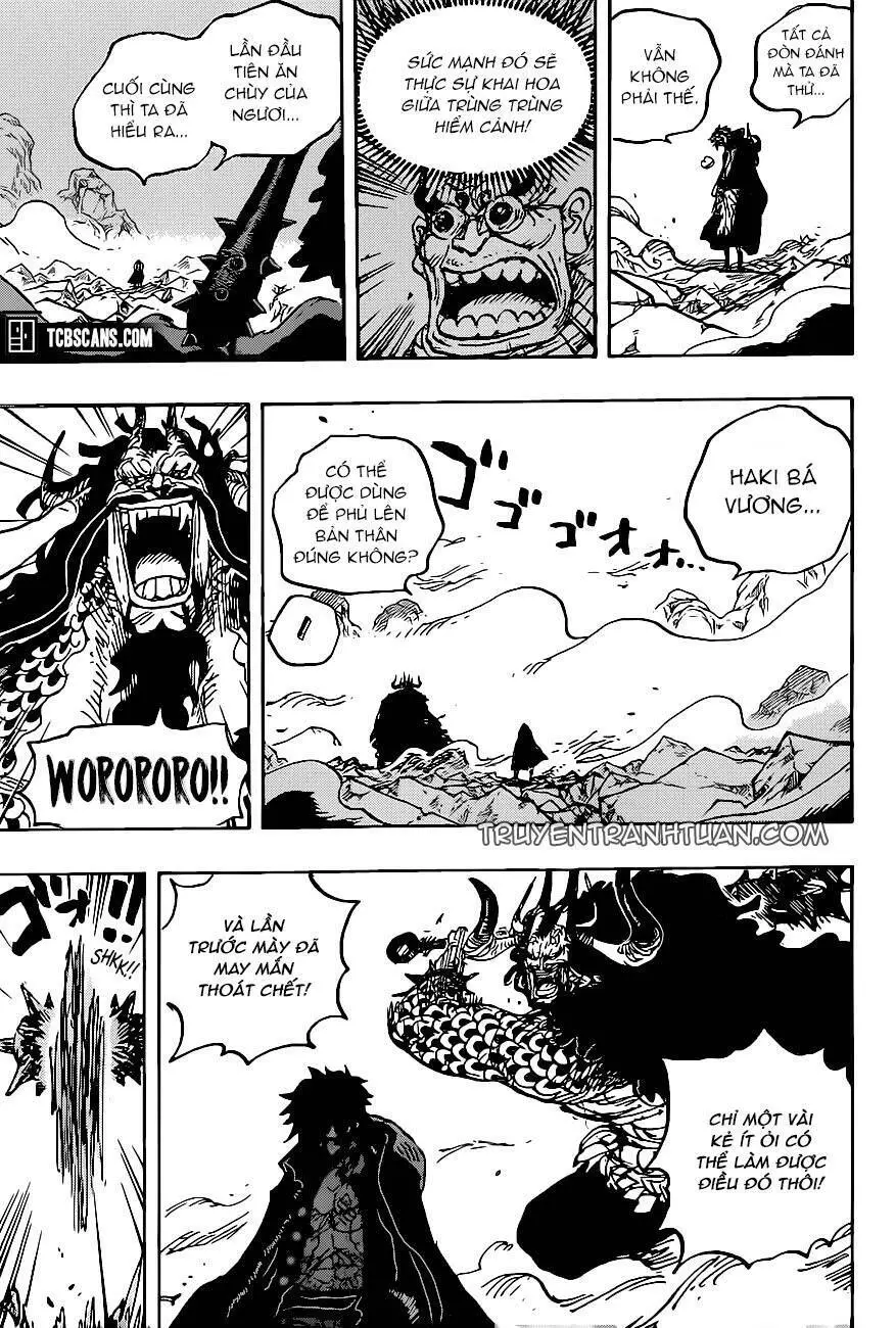 One Piece Nettruyen ZZZ Chương 1010 Page 12
