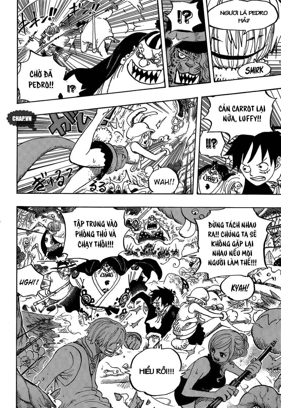 One Piece Nettruyen ZZZ Chương 875 Page 10