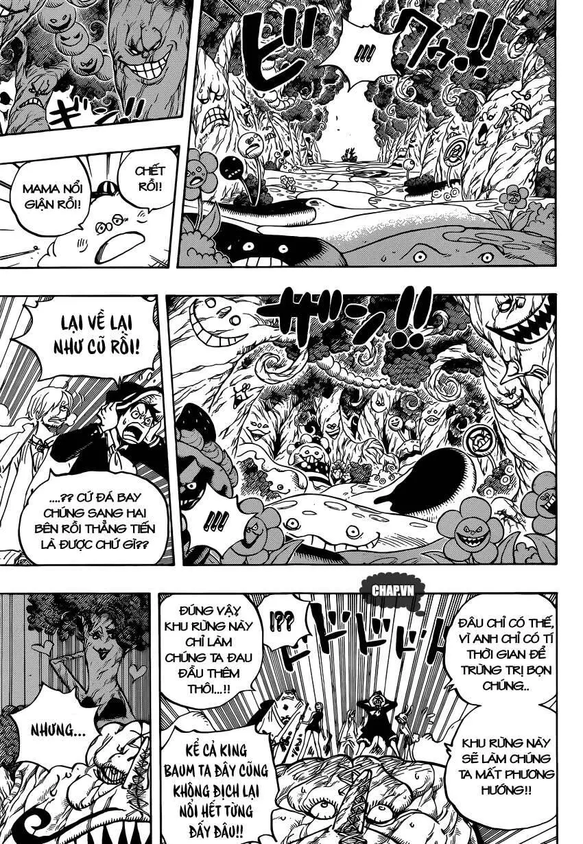 One Piece Nettruyen ZZZ Chương 874 Page 11