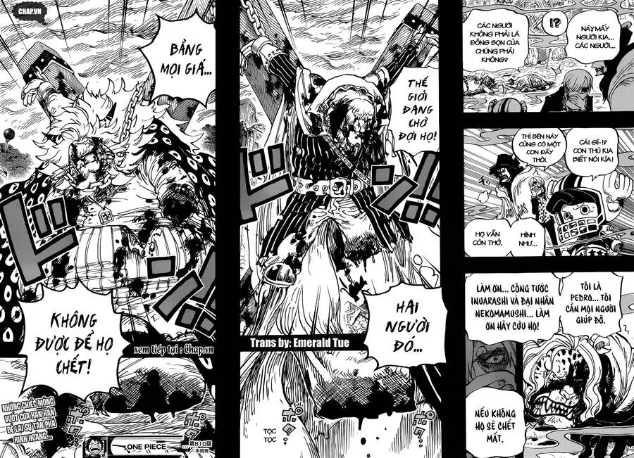 One Piece Nettruyen ZZZ Chương 810 Page 16