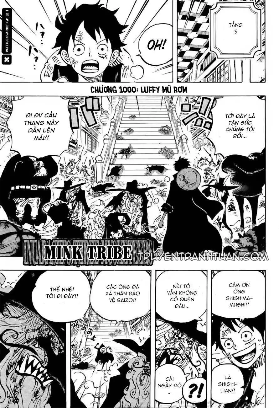 One Piece Nettruyen ZZZ Chương 1000 Page 1