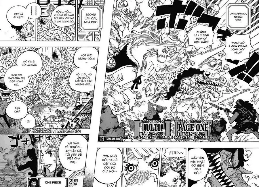 One Piece Nettruyen ZZZ Chương 998 Page 11