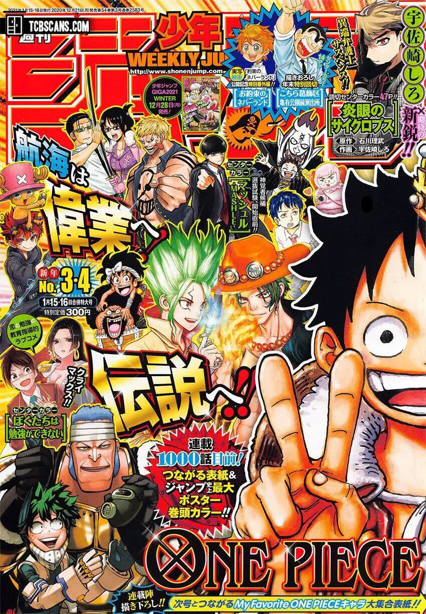 One Piece Nettruyen ZZZ Chương 999 Page 1