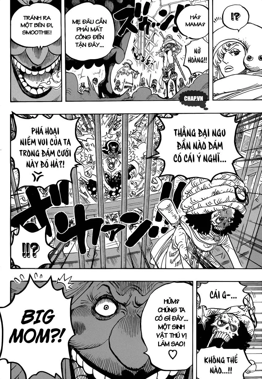 One Piece Nettruyen ZZZ Chương 849 Page 15