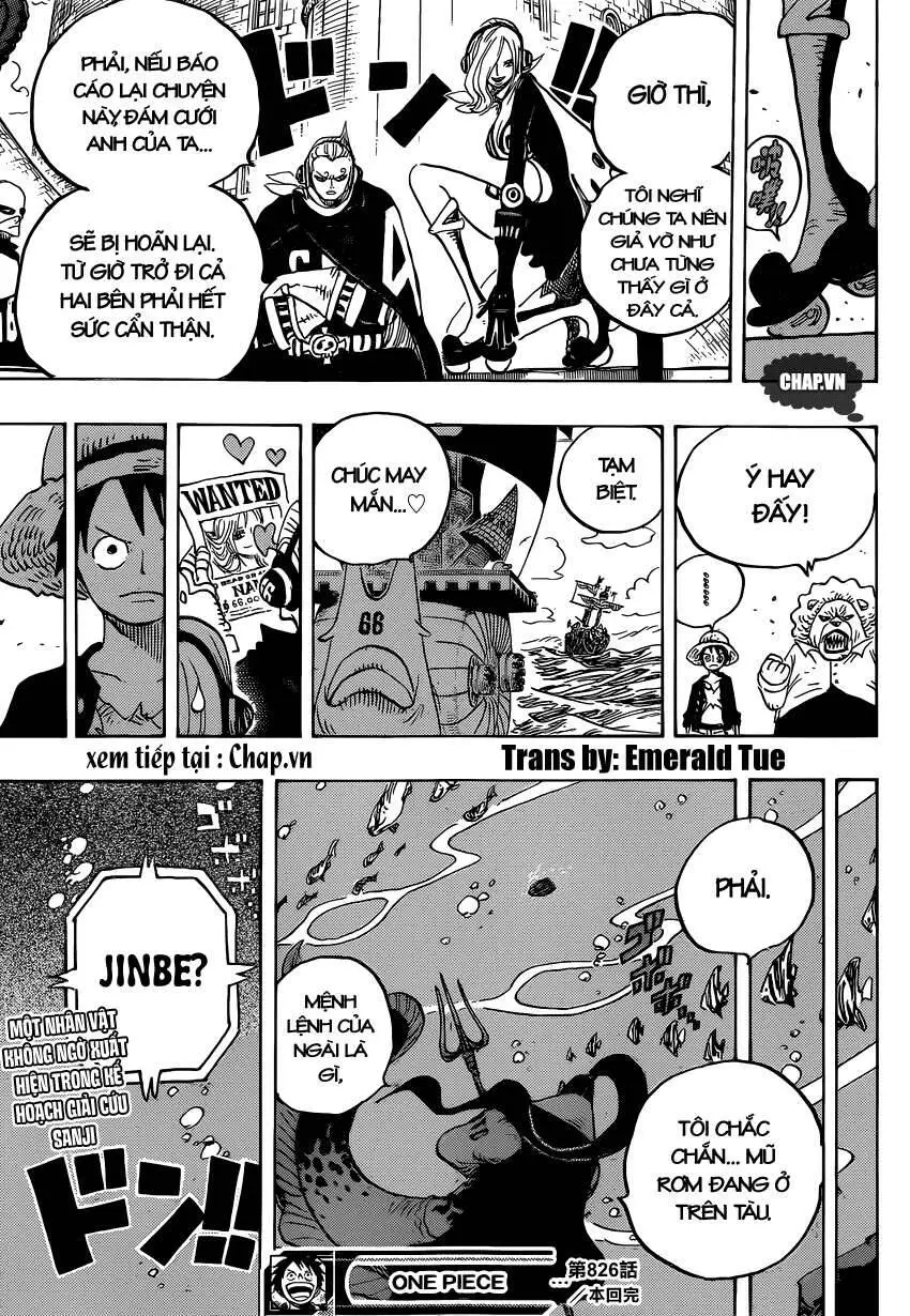 One Piece Nettruyen ZZZ Chương 826 Page 17