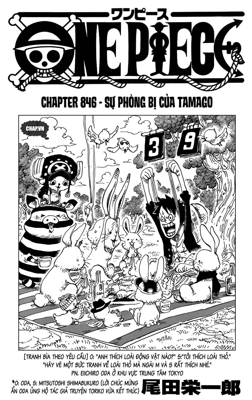 One Piece Nettruyen ZZZ Chương 846 Page 1