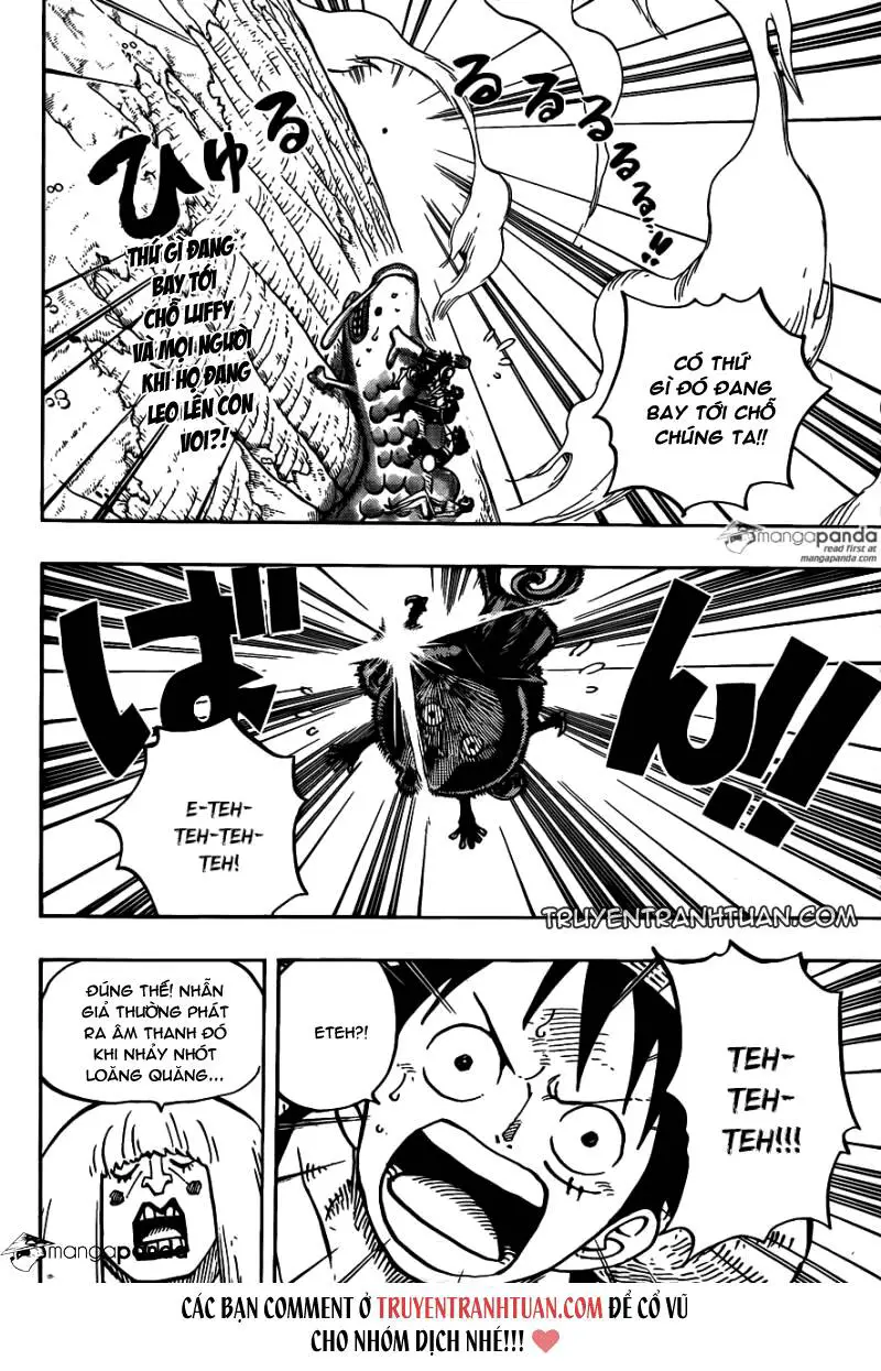 One Piece Nettruyen ZZZ Chương 804 Page 2