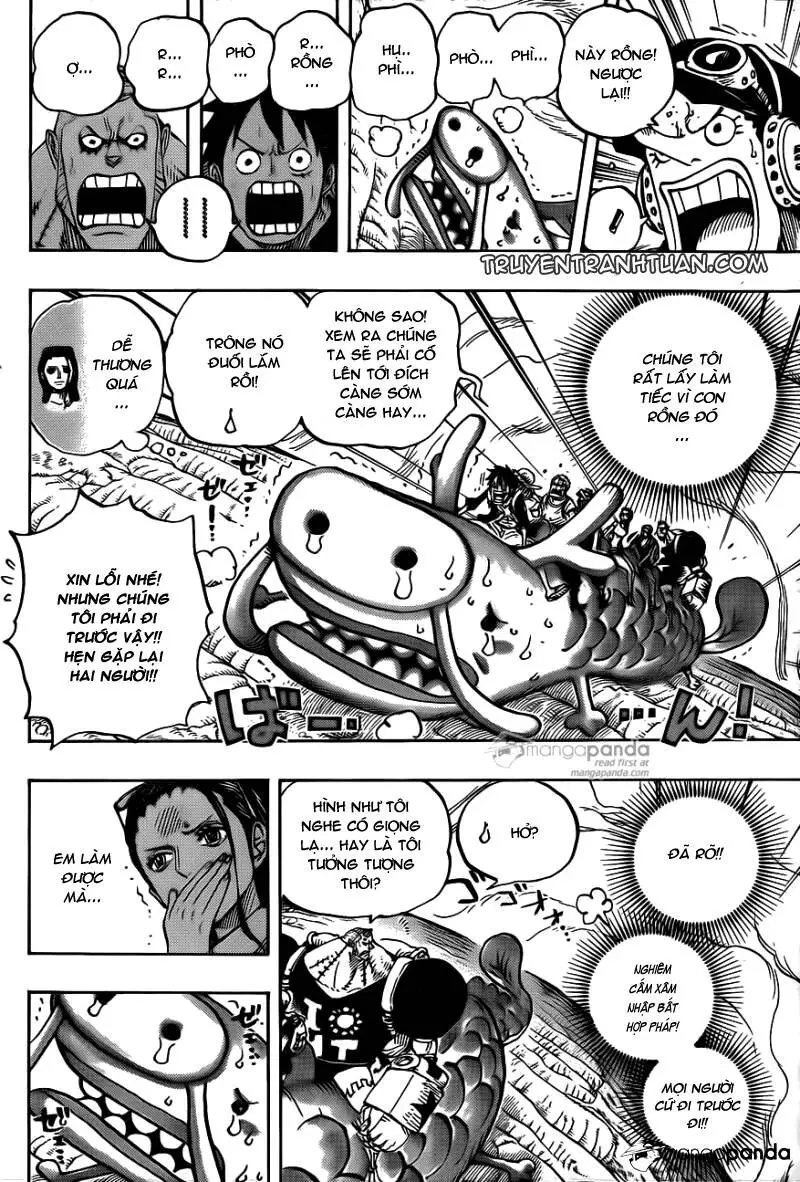 One Piece Nettruyen ZZZ Chương 804 Page 6