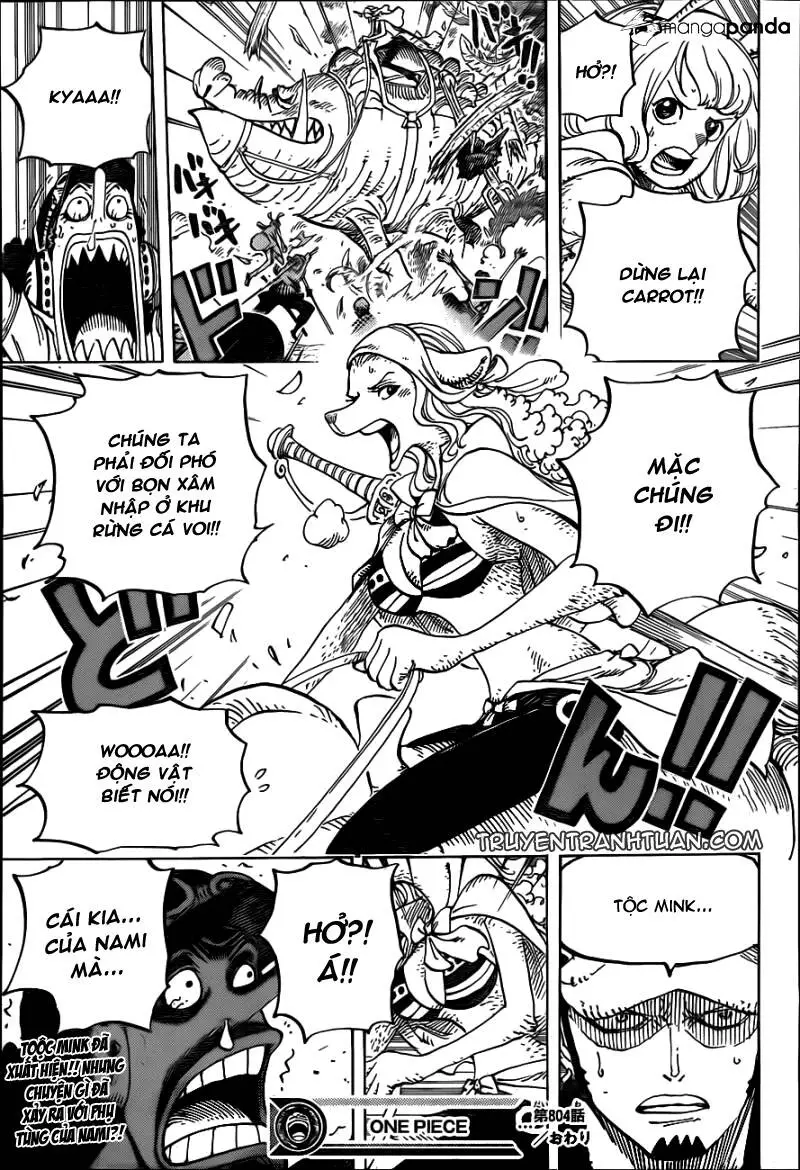 One Piece Nettruyen ZZZ Chương 804 Page 16