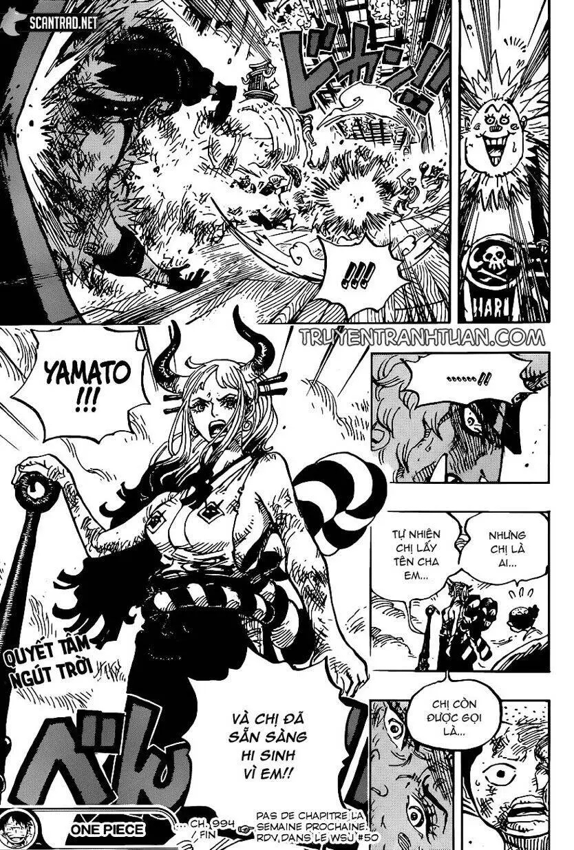 One Piece Nettruyen ZZZ Chương 994 Page 16