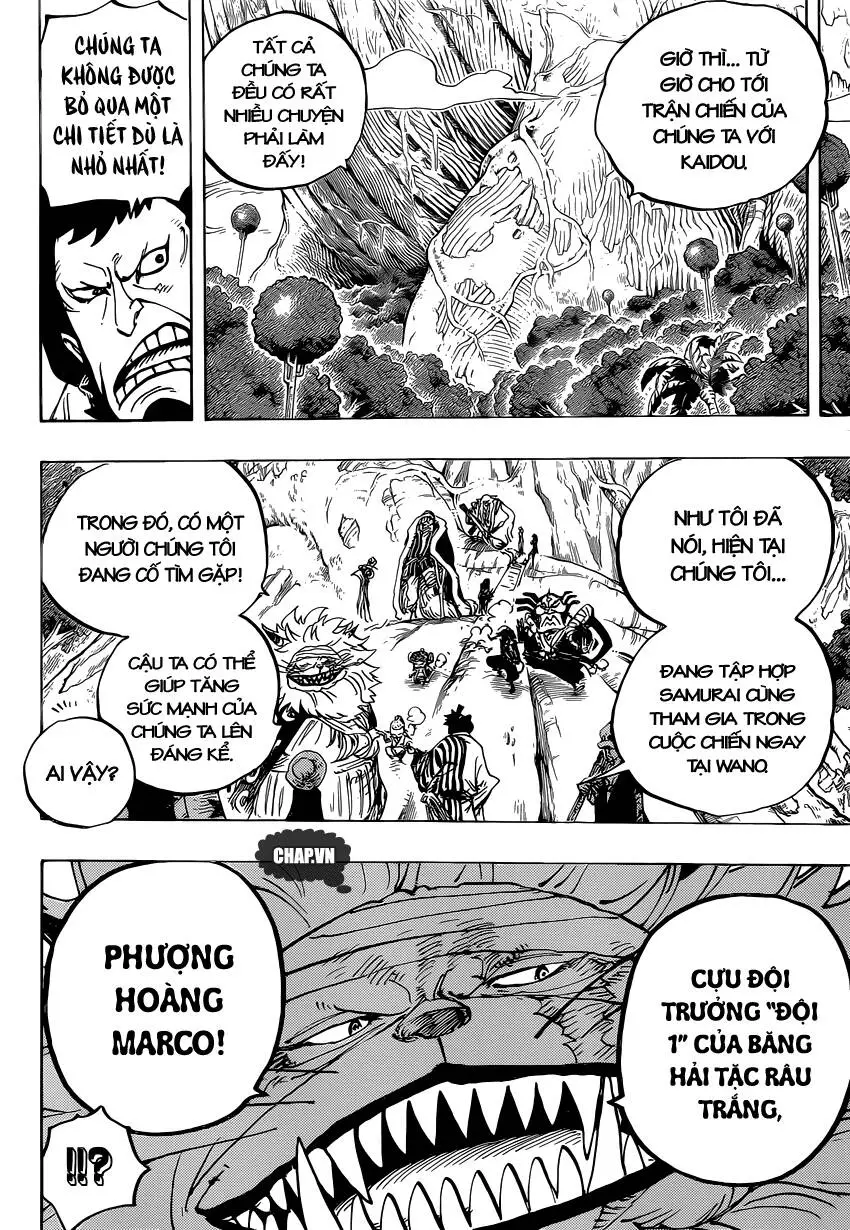 One Piece Nettruyen ZZZ Chương 820 Page 10