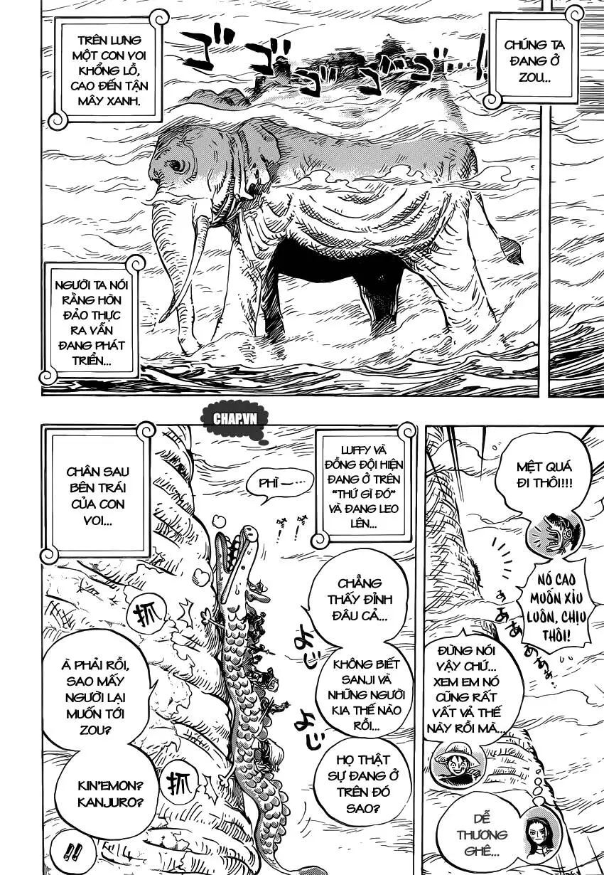 One Piece Nettruyen ZZZ Chương 803 Page 12