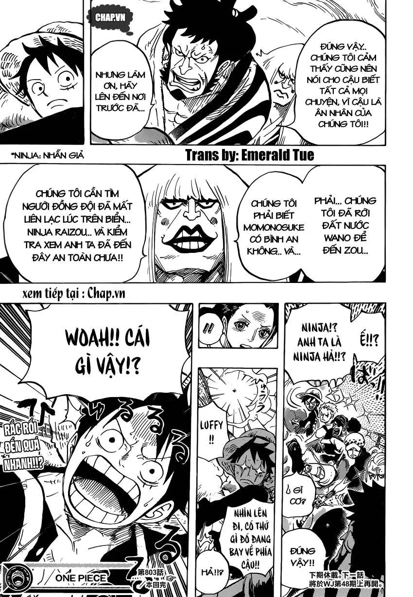 One Piece Nettruyen ZZZ Chương 803 Page 13