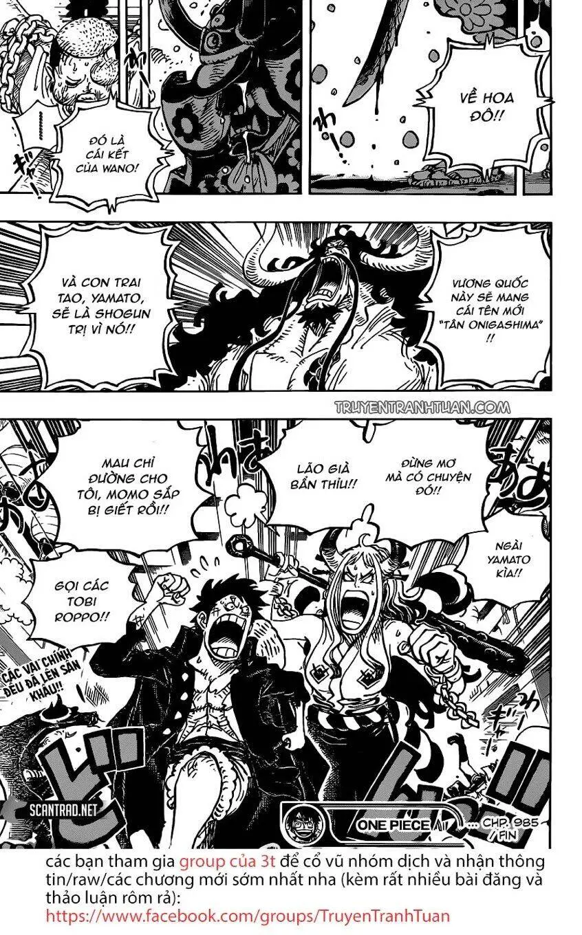 One Piece Nettruyen ZZZ Chương 985 Page 17