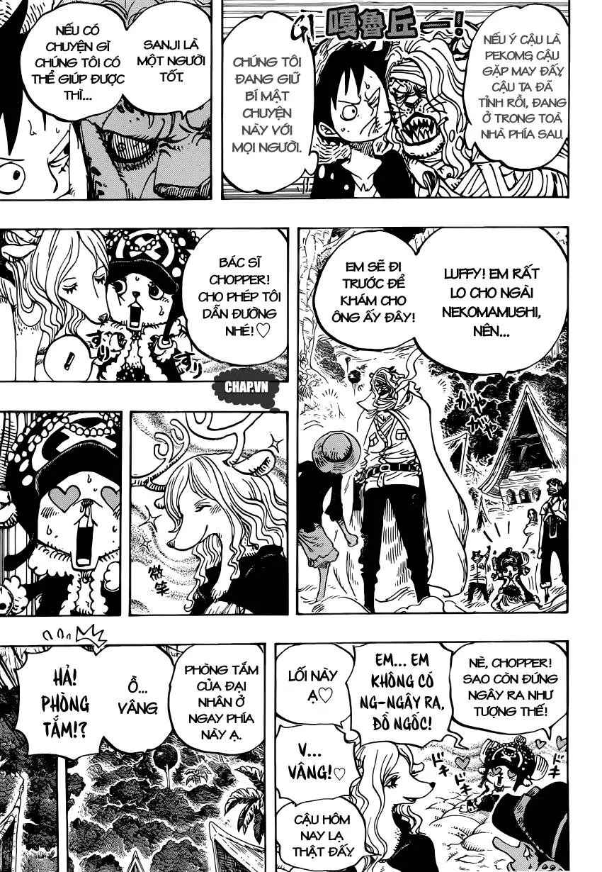 One Piece Nettruyen ZZZ Chương 814 Page 12