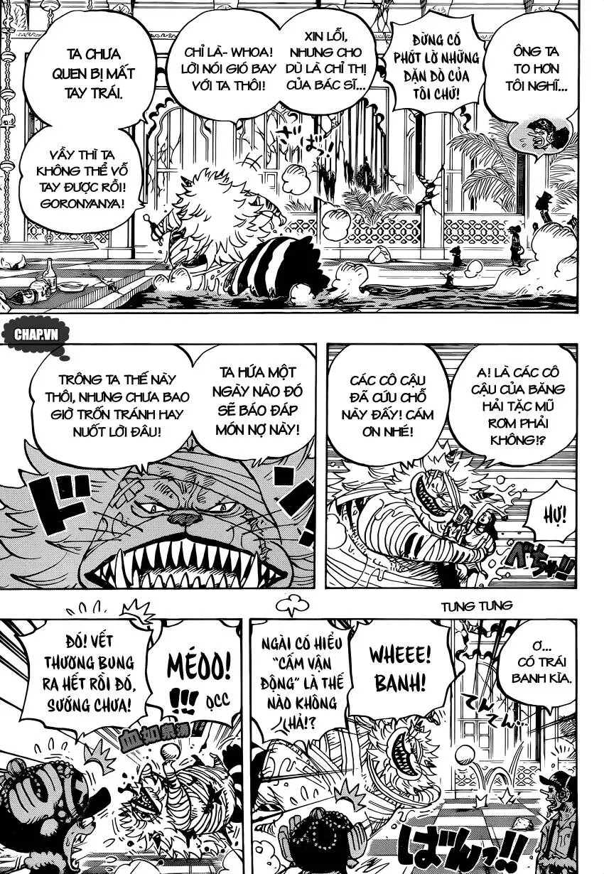 One Piece Nettruyen ZZZ Chương 814 Page 14