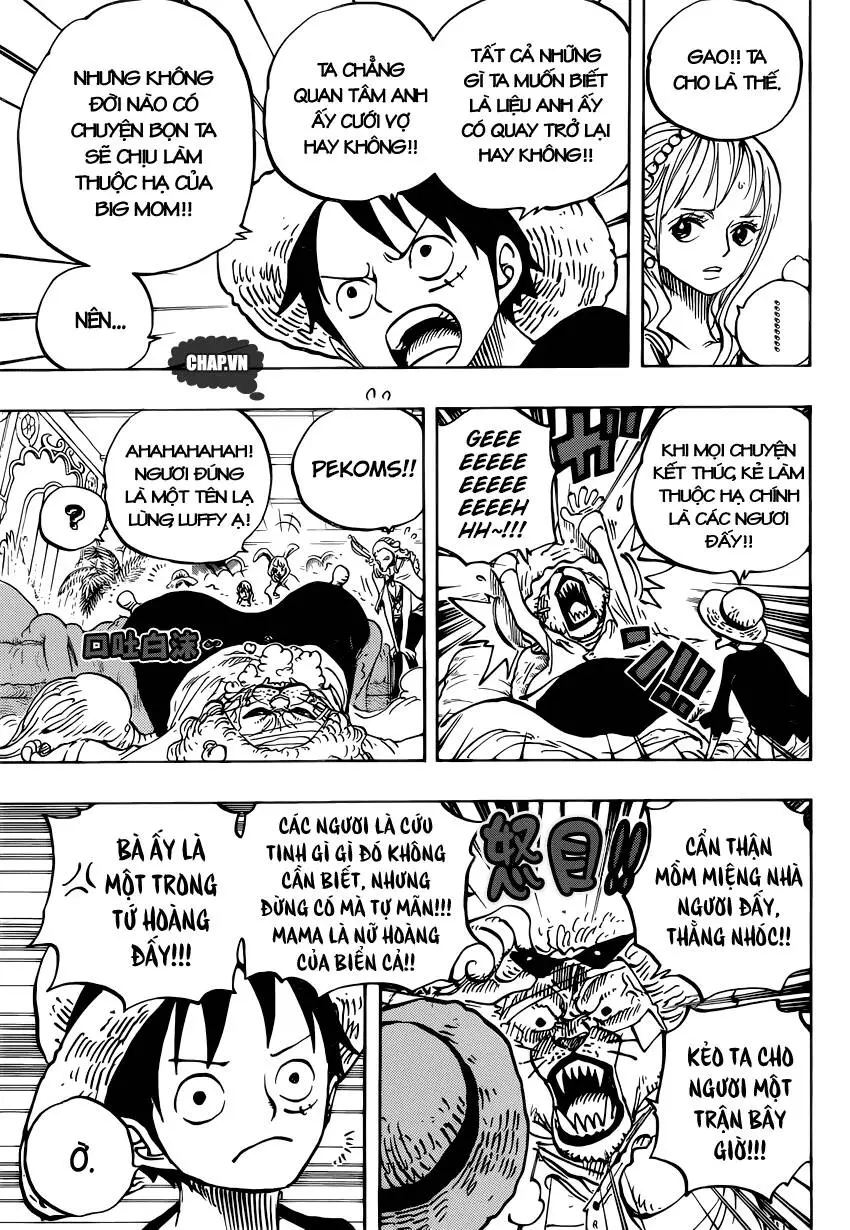One Piece Nettruyen ZZZ Chương 815 Page 3