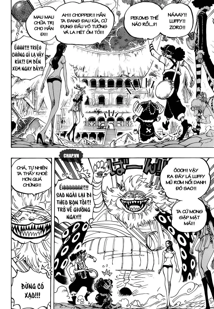One Piece Nettruyen ZZZ Chương 815 Page 10