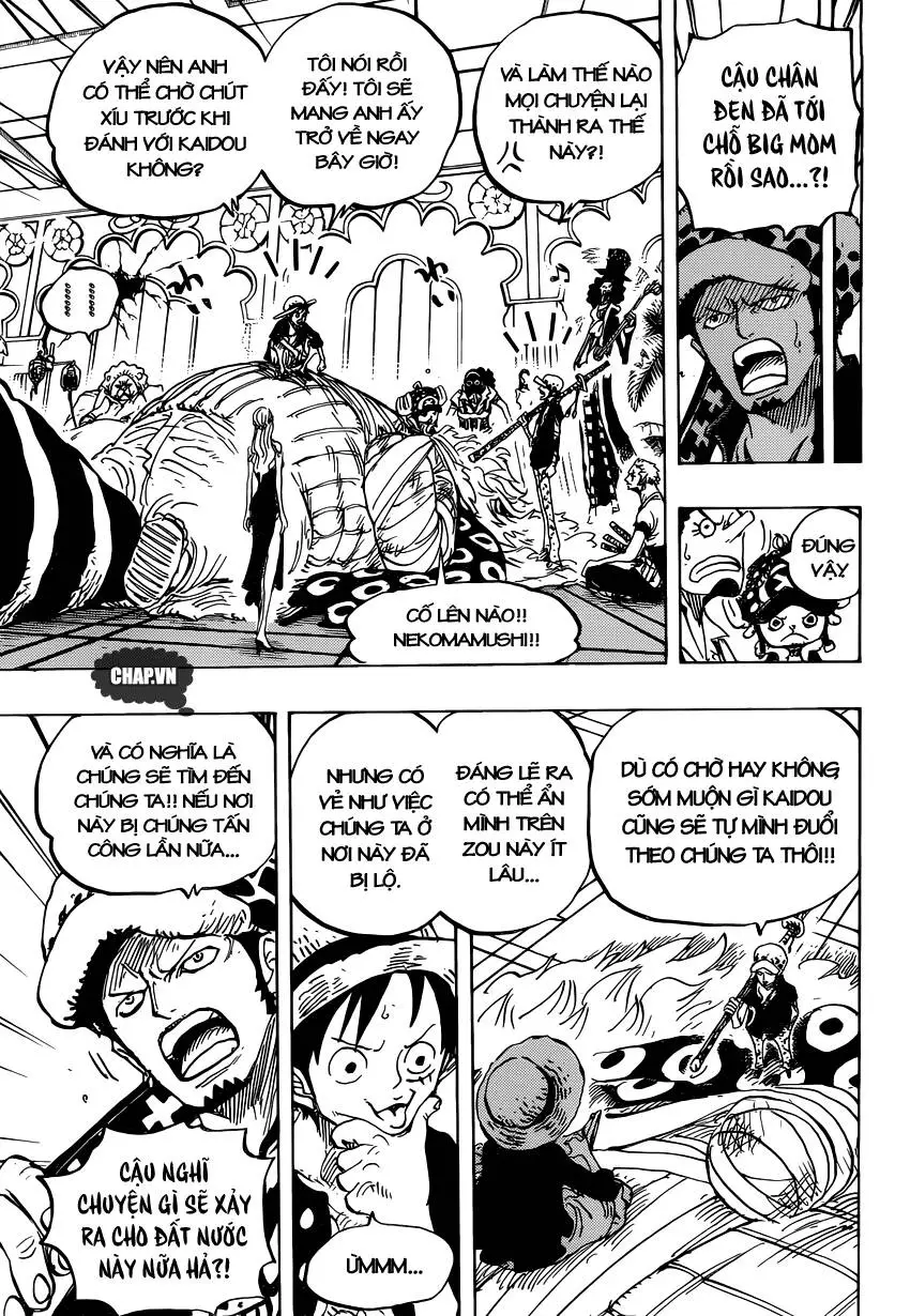 One Piece Nettruyen ZZZ Chương 815 Page 13