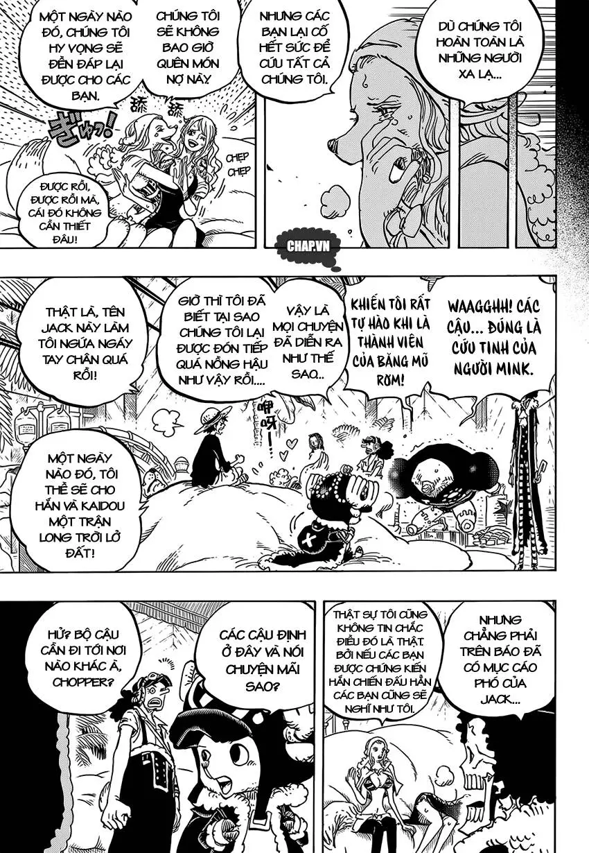 One Piece Nettruyen ZZZ Chương 811 Page 14