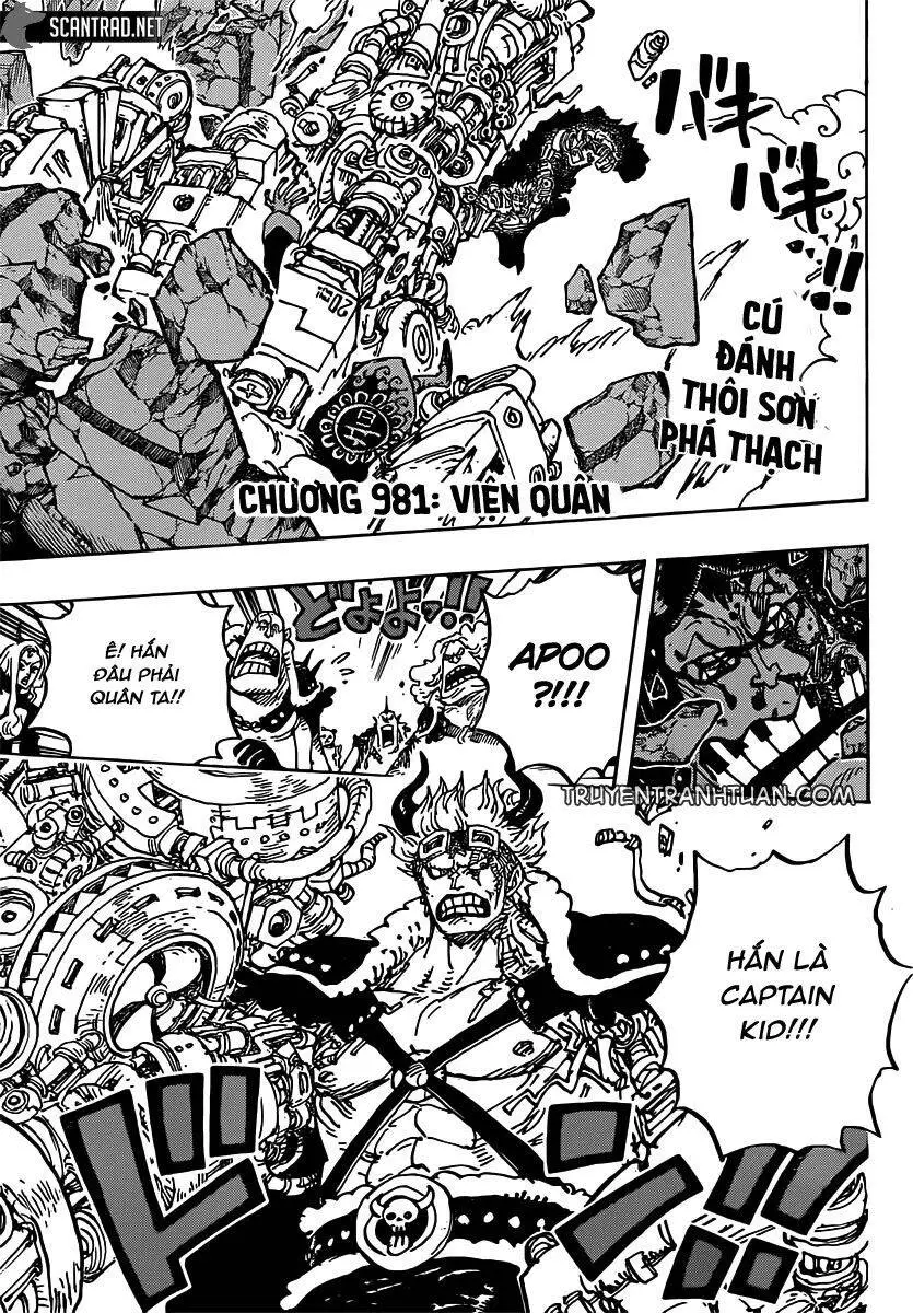 One Piece Nettruyen ZZZ Chương 981 Page 4