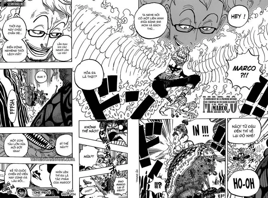 One Piece Nettruyen ZZZ Chương 981 Page 19