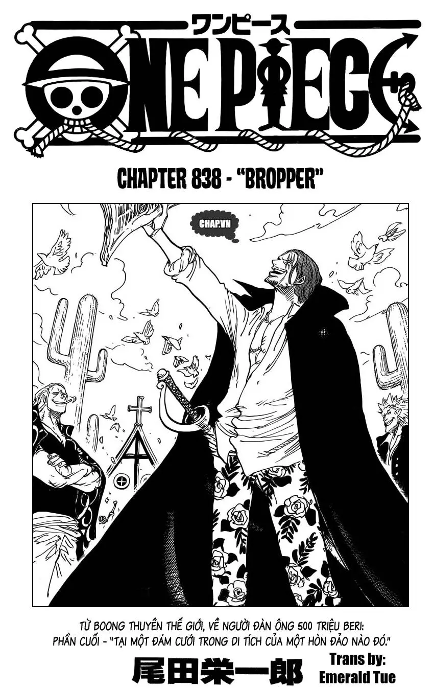 One Piece Nettruyen ZZZ Chương 838 Page 1