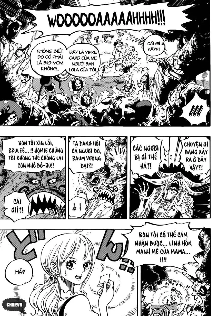 One Piece Nettruyen ZZZ Chương 836 Page 13