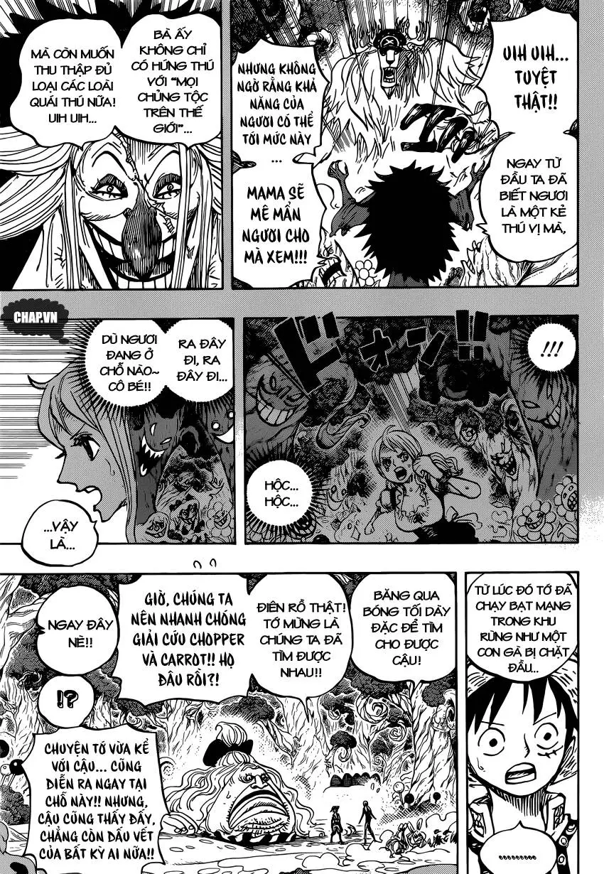 One Piece Nettruyen ZZZ Chương 835 Page 13