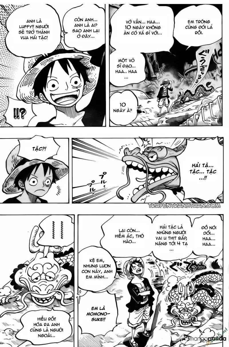 One Piece Nettruyen ZZZ Chương 685 Page 5