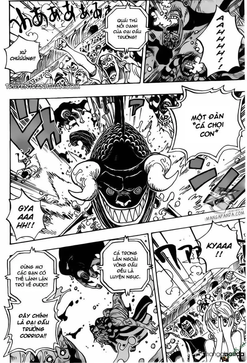 One Piece Nettruyen ZZZ Chương 707 Page 7