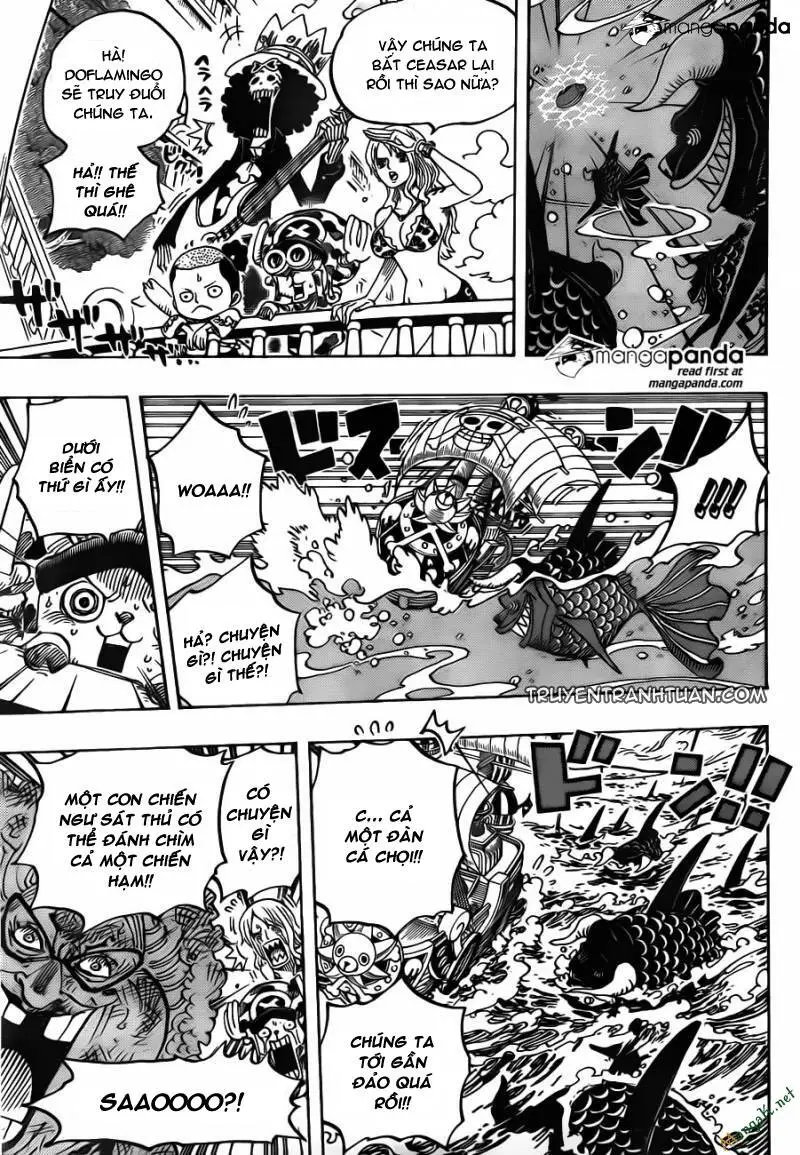 One Piece Nettruyen ZZZ Chương 723 Page 17
