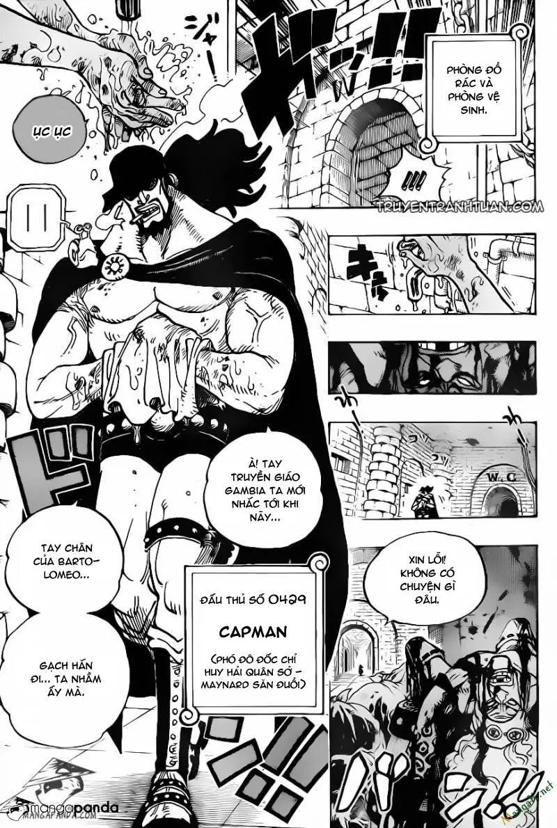 One Piece Nettruyen ZZZ Chương 705 Page 6