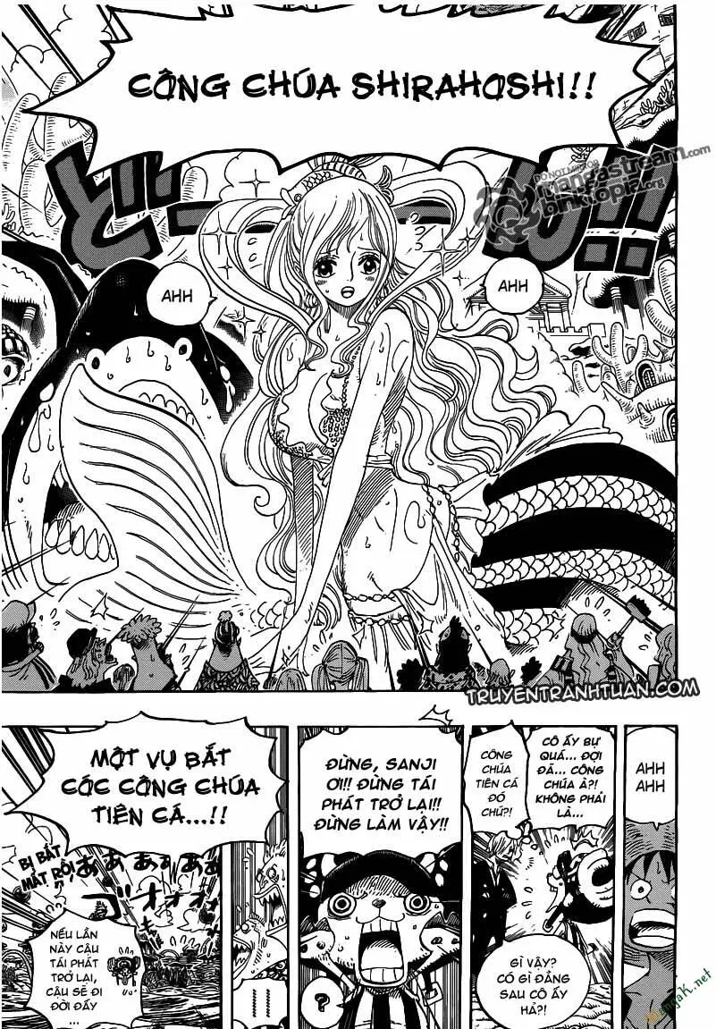 One Piece Nettruyen ZZZ Chương 617 Page 17