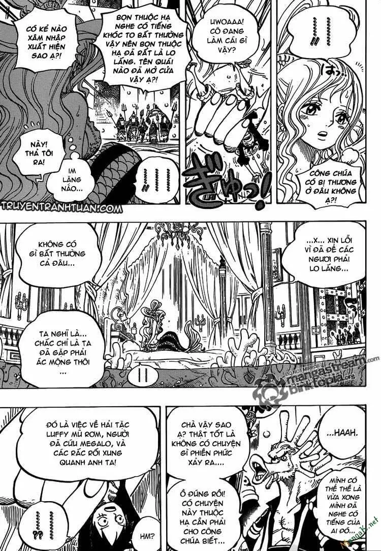One Piece Nettruyen ZZZ Chương 613 Page 7