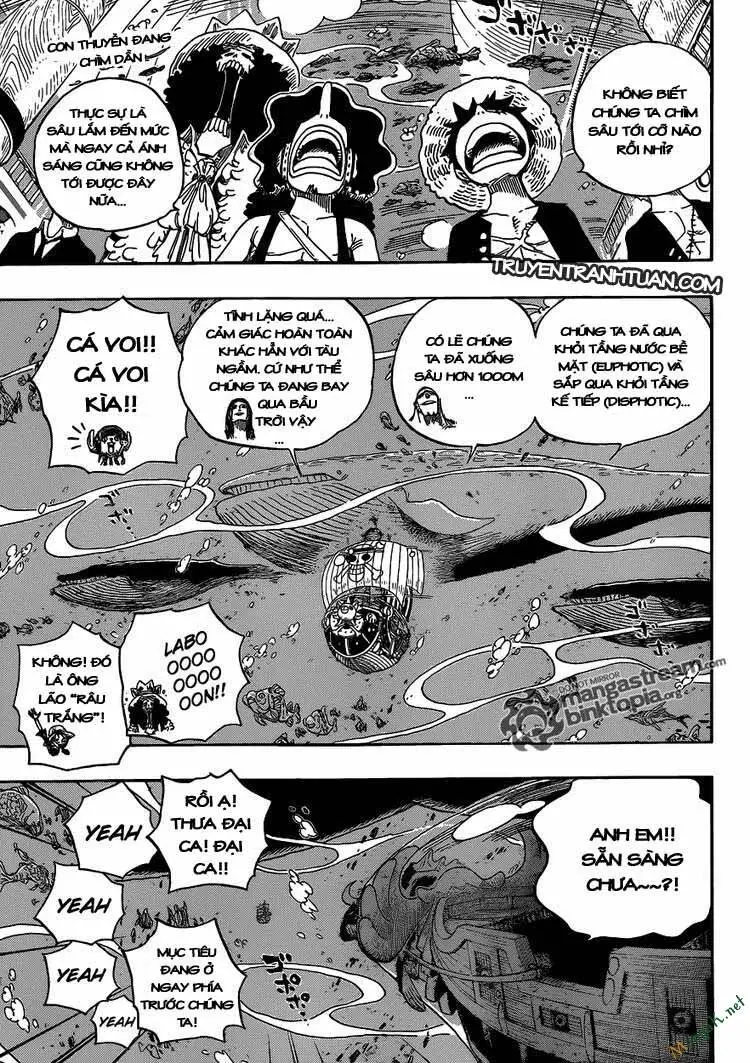 One Piece Nettruyen ZZZ Chương 604 Page 3
