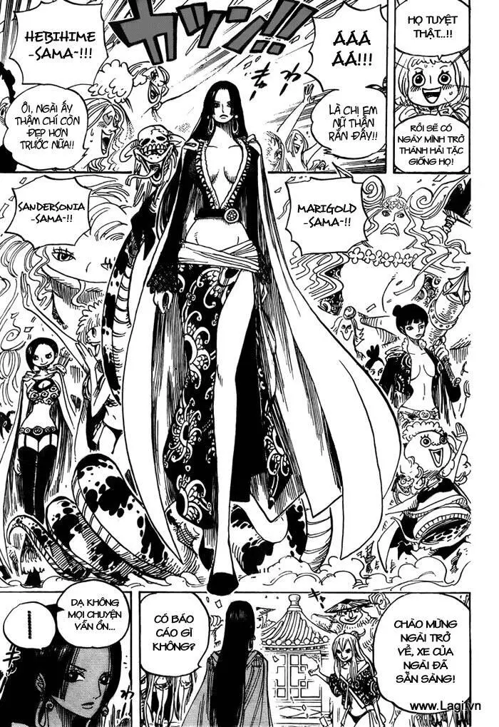 One Piece Nettruyen ZZZ Chương 517 Page 3