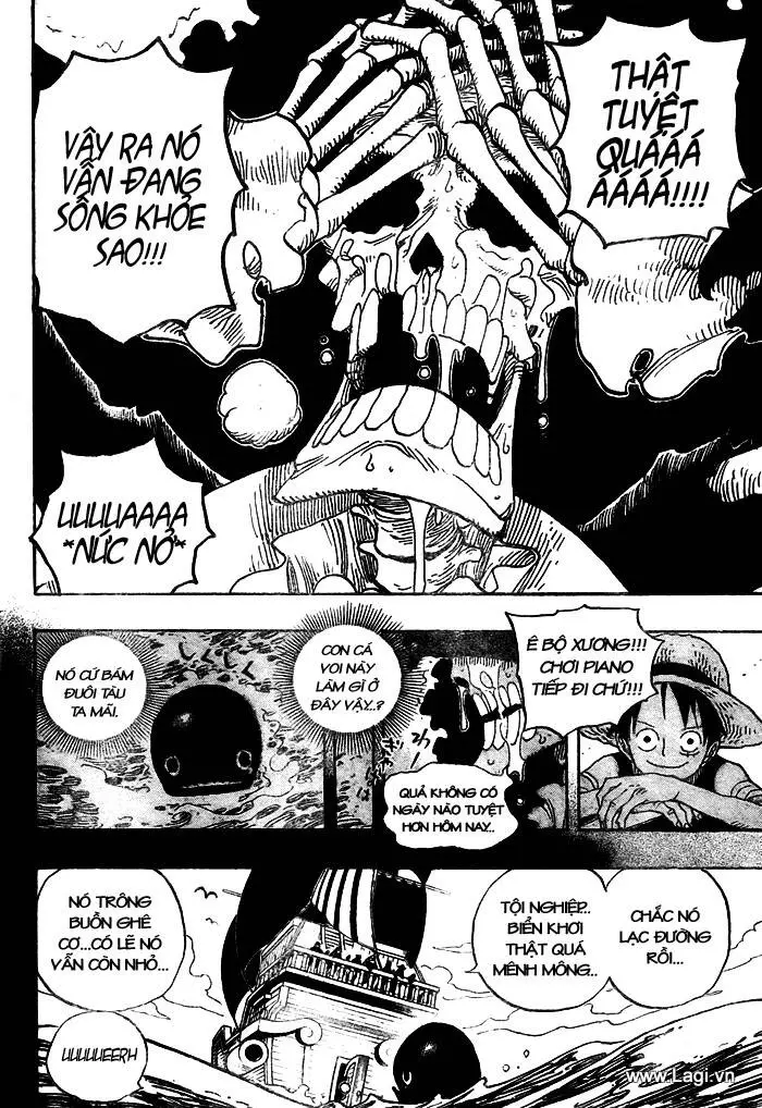 One Piece Nettruyen ZZZ Chương 486 Page 18