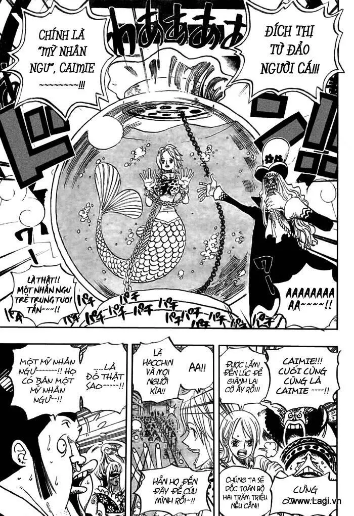 One Piece Nettruyen ZZZ Chương 502 Page 7