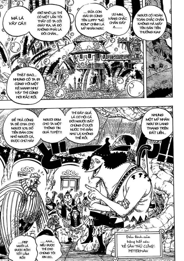 One Piece Nettruyen ZZZ Chương 499 Page 3