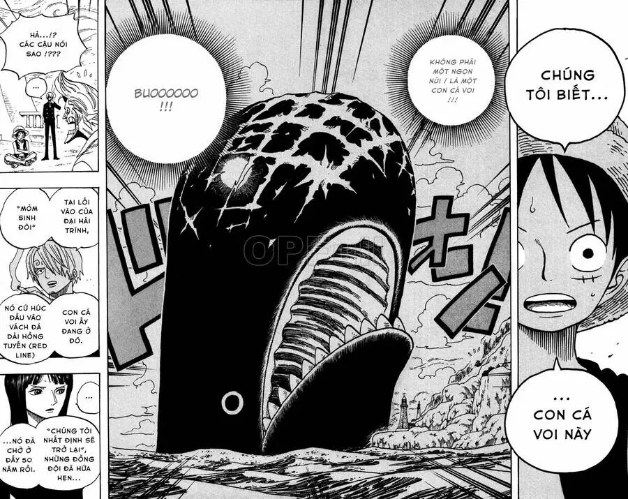 One Piece Nettruyen ZZZ Chương 459 Page 13