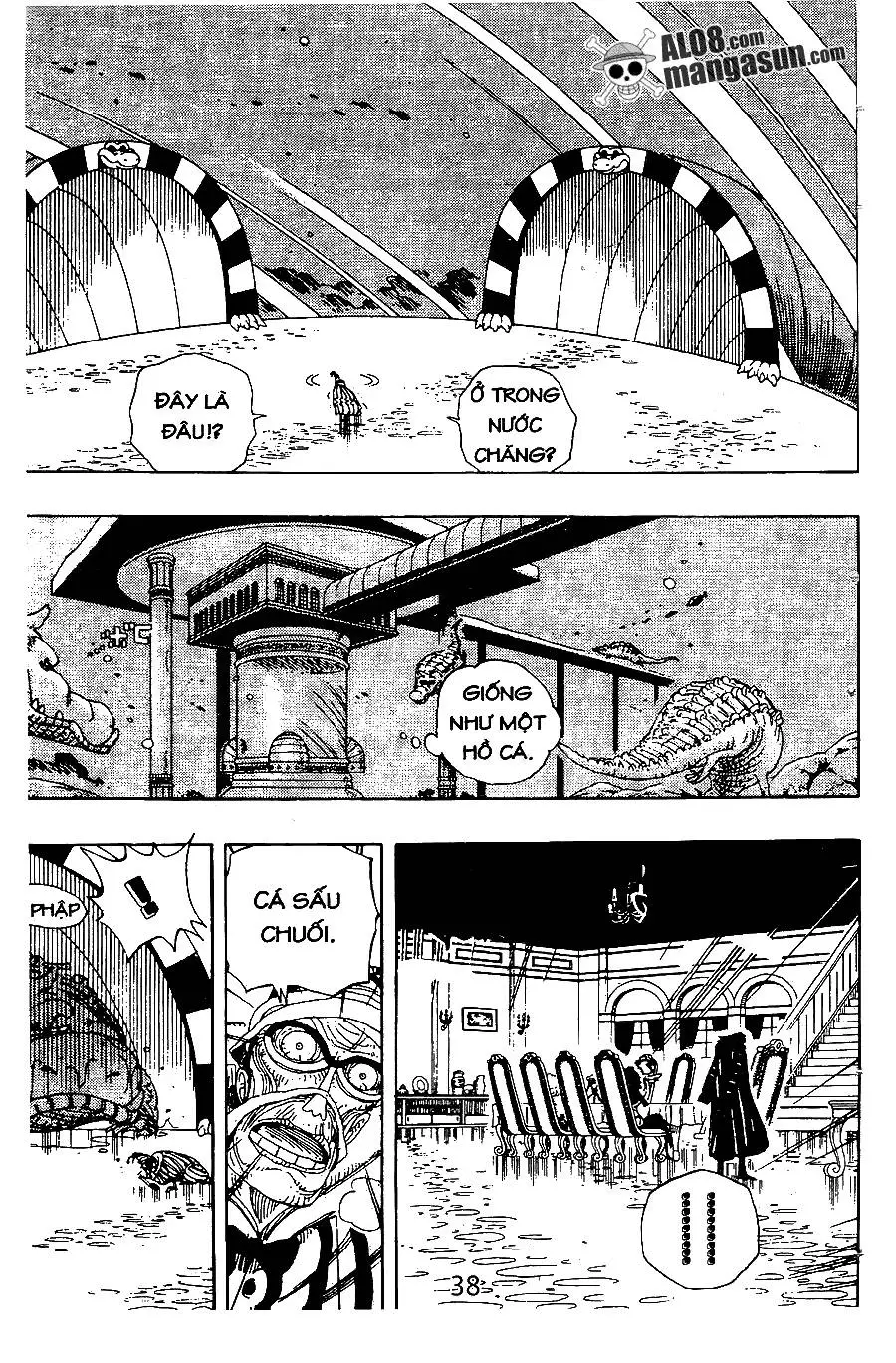 One Piece Nettruyen ZZZ Chương 166 Page 10