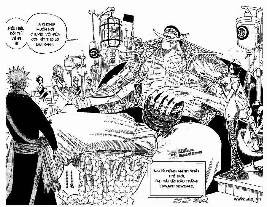 One Piece Nettruyen ZZZ Chương 234 Page 12