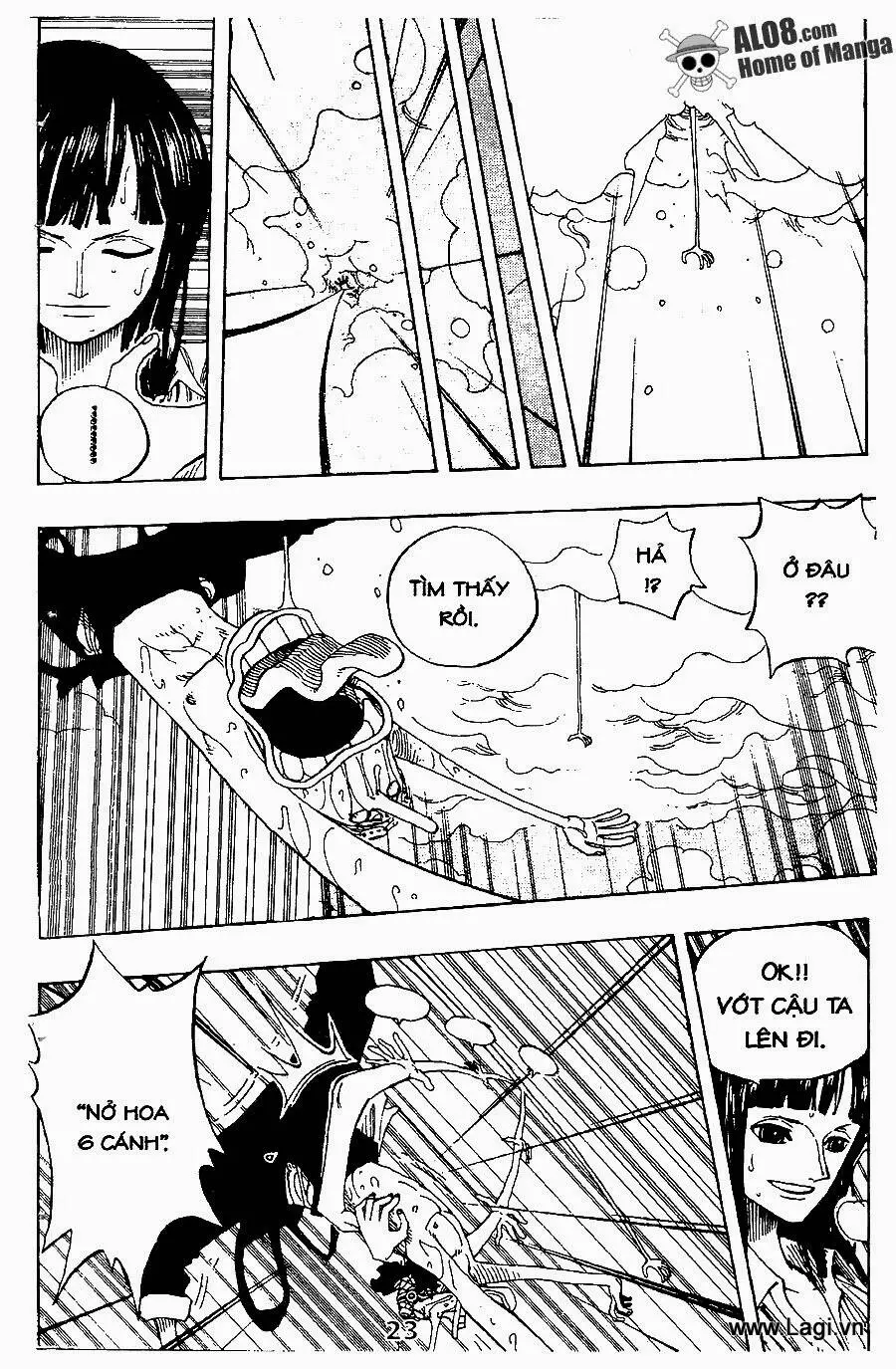One Piece Nettruyen ZZZ Chương 237 Page 10