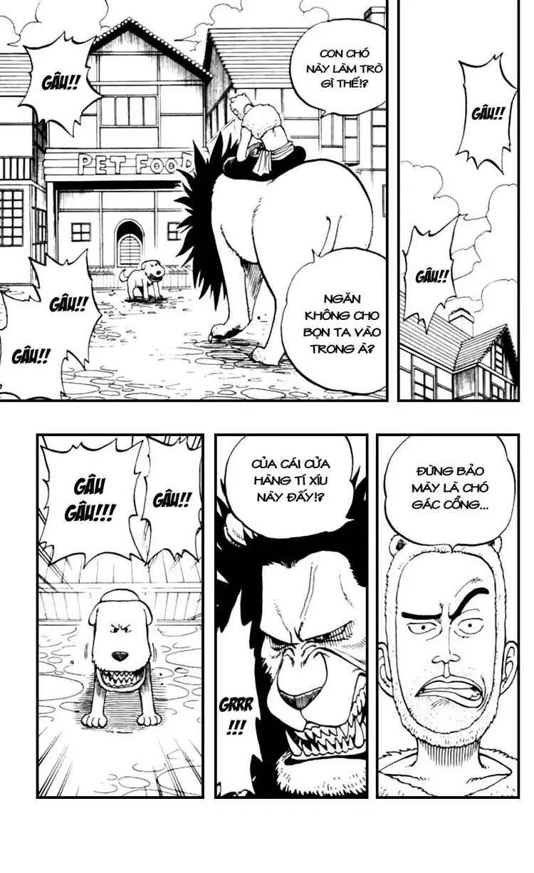 One Piece Nettruyen ZZZ Chương 13 Page 3