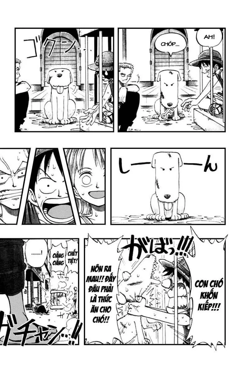 One Piece Nettruyen ZZZ Chương 12 Page 8