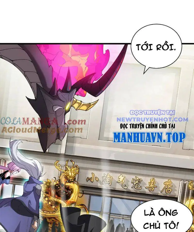 Ma Thú Siêu Thần Nettruyen ZZZ Chương 170 Page 5