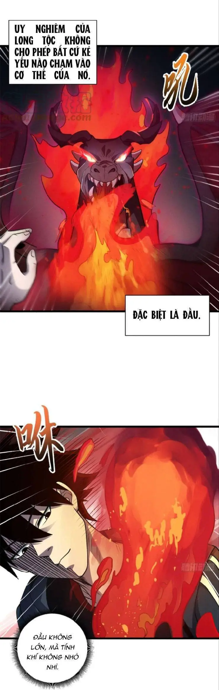 Ma Thú Siêu Thần Nettruyen ZZZ Chương 36 Page 6