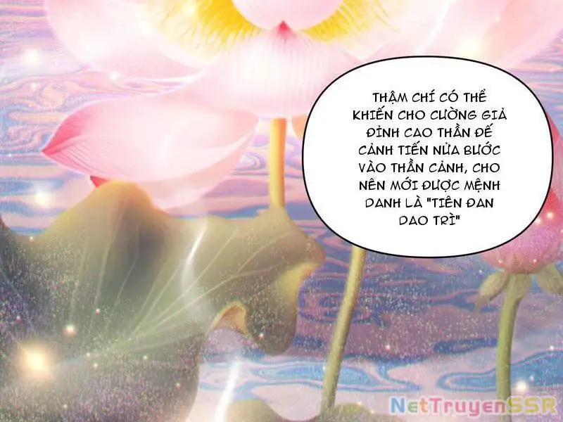 Bắt Đầu Chấn Kinh Nữ Đế Lão Bà, Ta Vô Địch! Nettruyen ZZZ Chương 13 Page 109